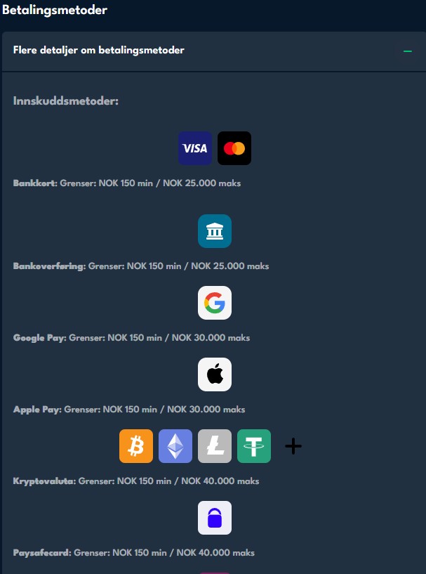 A list of payment methods available at Rocket Riches